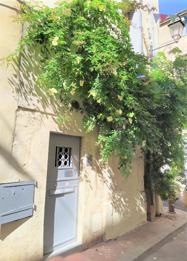 Le Balcon De Saint Roch Apartment Montpellier Luaran gambar