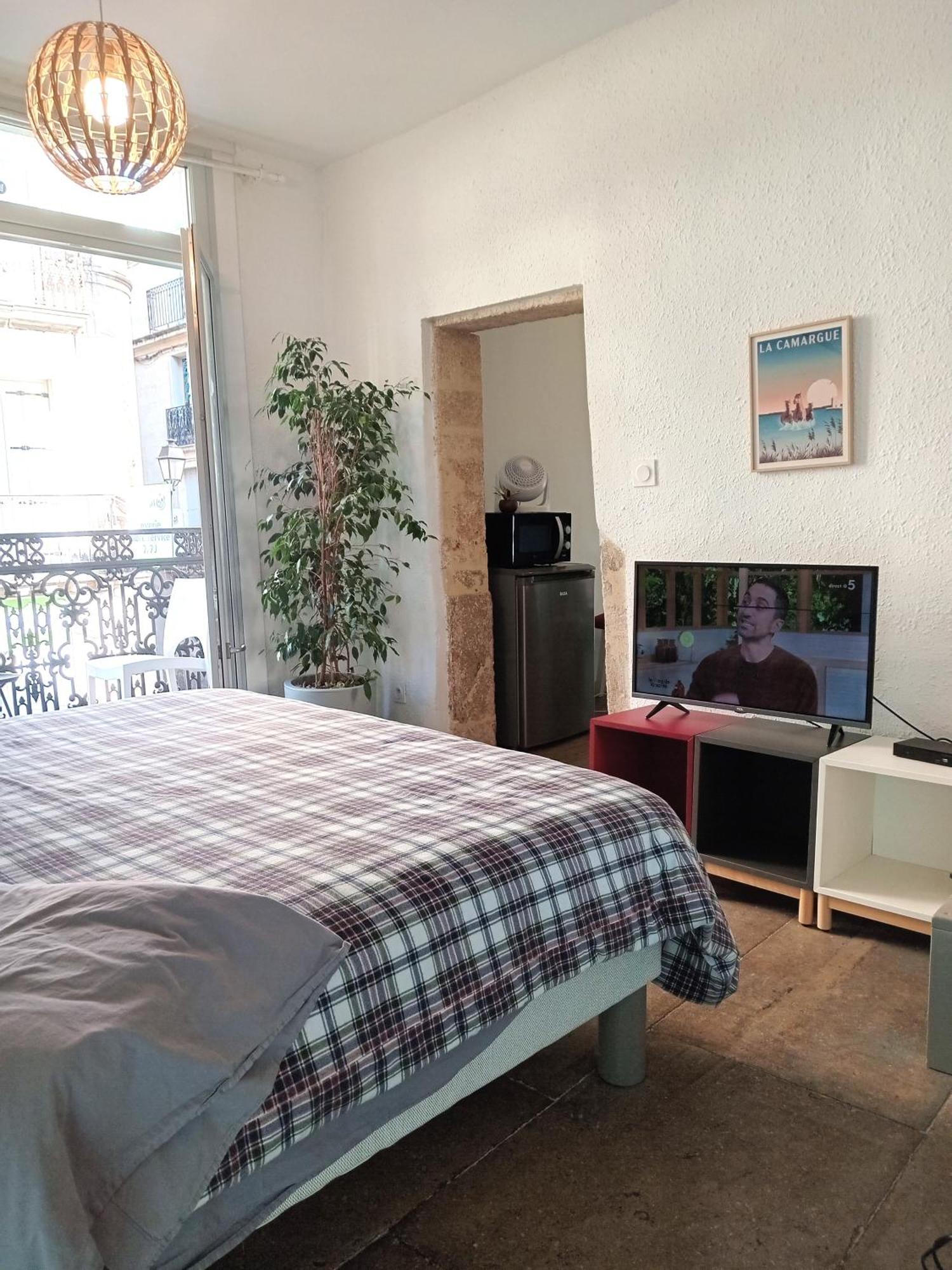 Le Balcon De Saint Roch Apartment Montpellier Luaran gambar